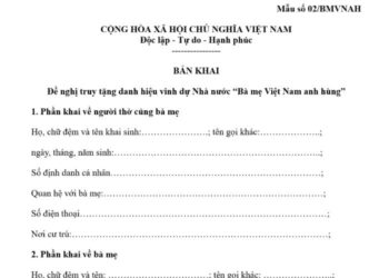 Bản khai đề nghị truy tặng danh hiệu vinh dự Nhà nước "Bà mẹ Việt Nam anh hùng"