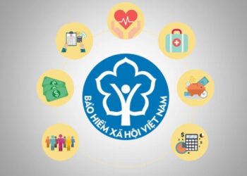 Đóng bảo hiểm xã hội: Căn cứ, mức đóng, tỷ lệ đóng