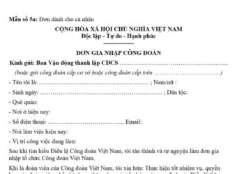 Mẫu Đơn gia nhập công đoàn dành cho cá nhân 3 Mẫu Đơn gia nhập công đoàn dành cho cá nhân