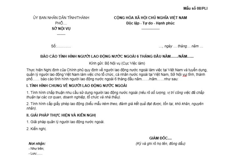 Báo cáo tình hình người lao động nước ngoài (Mẫu số 08/PLI) 1 Báo cáo tình hình người lao động nước ngoài (Mẫu số 08/PLI)