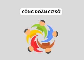 Công đoàn cơ sở là gì? Quyền thành lập, gia nhập và hoạt động công đoàn 3 Công đoàn cơ sở là gì? Quyền thành lập, gia nhập và hoạt động công đoàn