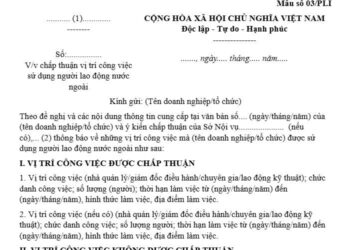 Công văn về việc chấp thuận vị trí công việc sử dụng người lao động nước ngoài 1 Công văn về việc chấp thuận vị trí công việc sử dụng người lao động nước ngoài
