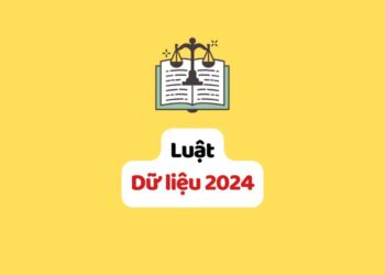 Luật Dữ liệu 2024