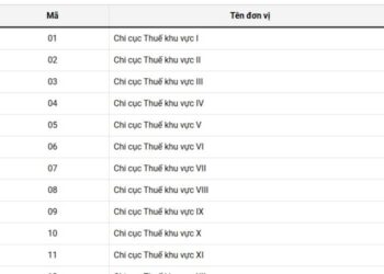 Mã hóa đơn, biên lai của chi cục thuế phát hành