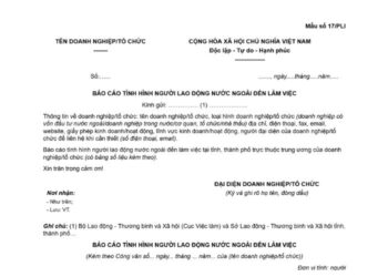 Mẫu Báo cáo tình hình người lao động nước ngoài đến làm việc