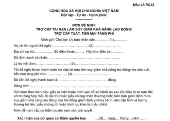 Mẫu Đơn đề nghị trợ cấp tai nạn làm suy giảm khả năng lao động/ trợ cấp tiền tuất, tiền mai táng phí