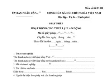 Mẫu Giấy phép hoạt động cho thuê lại lao động