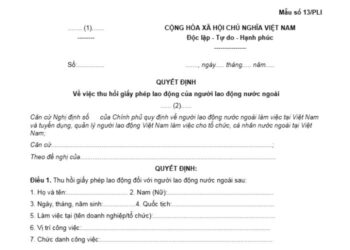 Mẫu Quyết định về việc thu hồi giấy phép lao động của người lao động nước ngoài
