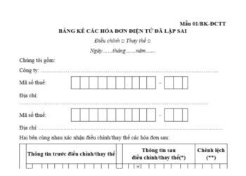 Mẫu số 01/BK-ĐCTT | Bảng kê hóa đơn điện tử đã lập sai 4 Mẫu số 01/BK-ĐCTT | Bảng kê hóa đơn điện tử đã lập sai