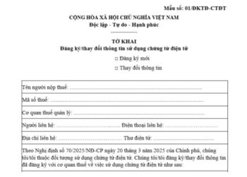 Mẫu số 01/ĐKTĐ-CTĐT | Tờ khai đăng ký/thay đổi thông tin sử dụng chứng từ điện tử