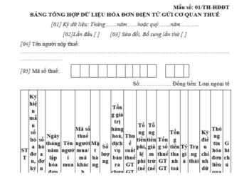Mẫu số 01/TH-HĐĐT | Bảng tổng hợp dữ liệu hóa đơn điện tử