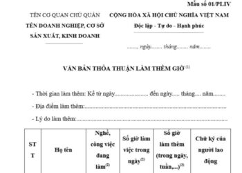 Mẫu Văn bản thỏa thuận làm thêm giờ (Mẫu số 01/PLIV)
