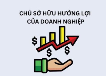 Chủ sở hữu hưởng lợi của doanh nghiệp là gì?