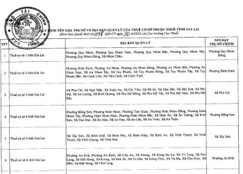 Danh sách 11 Thuế cơ sở thuộc Thuế tỉnh Gia Lai