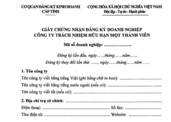 Mẫu Giấy chứng nhận đăng ký doanh nghiệp Công ty TNHH một thành viên