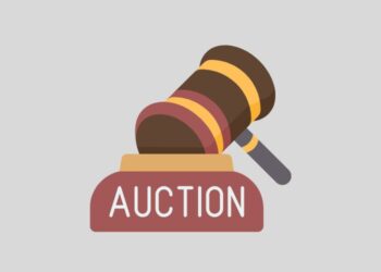 Hồ sơ, thủ tục cấp chứng chỉ hành nghề đấu giá