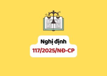 Nghị định 117/2025/NĐ-CP quy định quản lý thuế đối với hoạt động kinh doanh trên nền tảng thương mại điện tử, nền tảng số của hộ, cá nhân