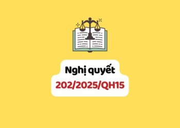 Nghị quyết 202/2025/QH15 sắp xếp đơn vị hành chính cấp tỉnh