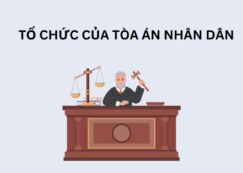 Tổ chức của Tòa án nhân dân từ ngày 01/7/2025