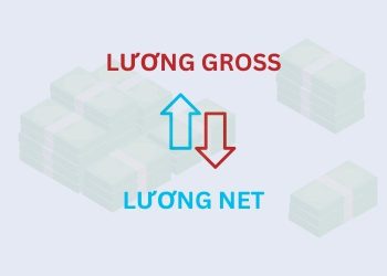 Công cụ tính lương Gross sang Net và ngược lại