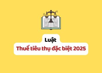 Luật Thuế tiêu thụ đặc biệt 2025