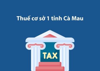 Thuế cơ sở 1 tỉnh Cà Mau: Thông tin liên hệ