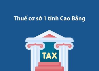 Thuế cơ sở 1 tỉnh Cao Bằng: Thông tin liên hệ