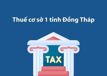 Thuế cơ sở 1 tỉnh Đồng Tháp: Thông tin liên hệ