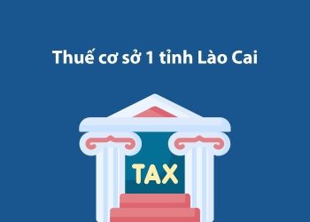 Thuế cơ sở 1 tỉnh Lào Cai: Thông tin liên hệ