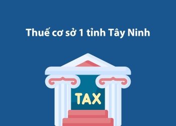 Thuế cơ sở 1 tỉnh Tây Ninh: Thông tin liên hệ