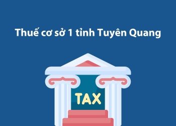 Thuế cơ sở 1 tỉnh Tuyên Quang: Thông tin liên hệ