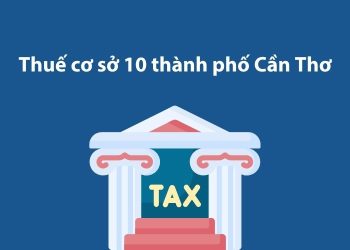 Thuế cơ sở 10 thành phố Cần Thơ: Thông tin liên hệ