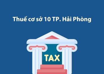 Thuế cơ sở 10 thành phố Hải Phòng: Thông tin liên hệ