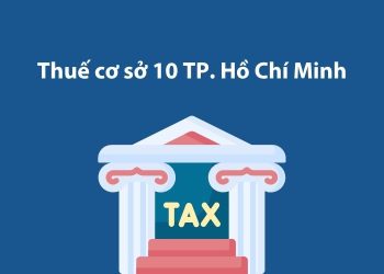 Thuế cơ sở 10 Thành phố Hồ Chí Minh: Thông tin liên hệ