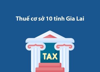 Thuế cơ sở 10 tỉnh Gia Lai: Thông tin liên hệ