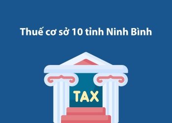 Thuế cơ sở 10 tỉnh Ninh Bình: Thông tin liên hệ