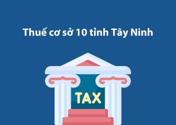 Thuế cơ sở 10 tỉnh Tây Ninh: Thông tin liên hệ