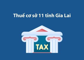 Thuế cơ sở 11 tỉnh Gia Lai: Thông tin liên hệ