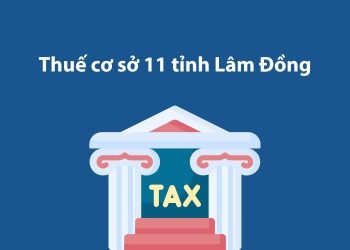 Thuế cơ sở 11 tỉnh Lâm Đồng: Thông tin liên hệ