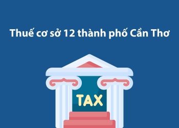 Thuế cơ sở 12 thành phố Cần Thơ: Thông tin liên hệ