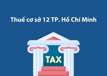 Thuế cơ sở 12 Thành phố Hồ Chí Minh: Thông tin liên hệ