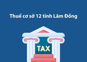 Thuế cơ sở 12 tỉnh Lâm Đồng: Thông tin liên hệ