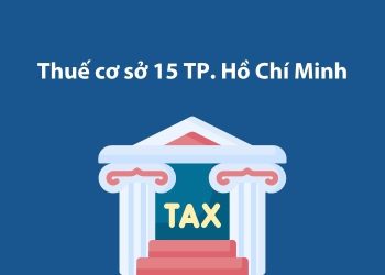 Thuế cơ sở 15 Thành phố Hồ Chí Minh: Thông tin liên hệ