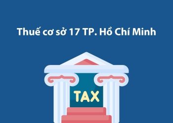 Thuế cơ sở 17 Thành phố Hồ Chí Minh: Thông tin liên hệ