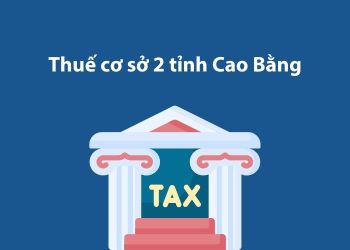 Thuế cơ sở 2 tỉnh Cao Bằng: Thông tin liên hệ