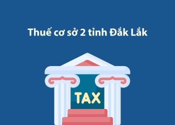 Thuế cơ sở 2 tỉnh Đắk Lắk: Thông tin liên hệ