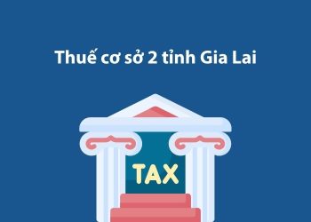Thuế cơ sở 2 tỉnh Gia Lai: Thông tin liên hệ