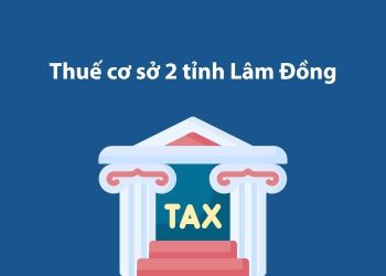 Thuế cơ sở 2 tỉnh Lâm Đồng: Thông tin liên hệ