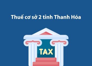 Thuế cơ sở 2 tỉnh Thanh Hóa: Thông tin liên hệ