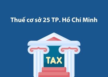 Thuế cơ sở 25 Thành phố Hồ Chí Minh: Thông tin liên hệ